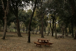 Yildiz Palace & Park: Skip-the-Line Entry with Audio Guide