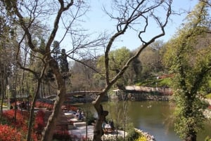 Yildiz Palace & Park: Skip-the-Line Entry with Audio Guide