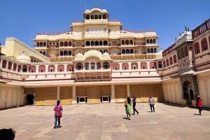 06-dniowa wycieczka po Złotym Trójkącie z safari w Ranthambore