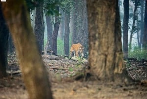 Den gylne triangel på nytt: Etisk luksus i hvert trinn