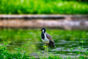 10 dias de viagem particular ao Triângulo Dourado com Udaipur, Jodhpur e Pushkar