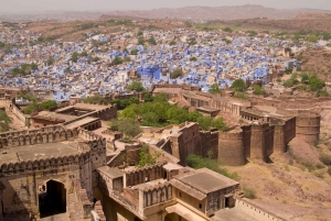 11-Daagse Rajasthan Tour: Jaipur, Udaipur & Meer