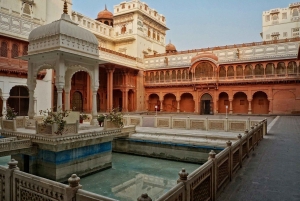 11-Daagse Rajasthan Tour: Jaipur, Udaipur & Meer