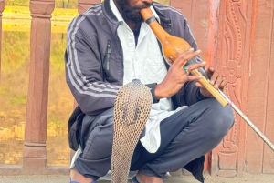 2-Day Jaipur Heritage Tour with Samode Palace & Village