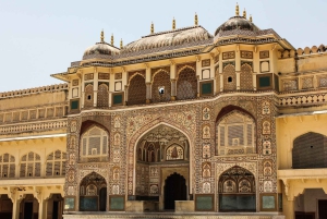 2-dniowa wycieczka do Jaipur z Delhi: pałace, forty i kultura
