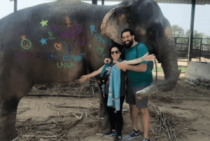 2 Days Jaipur City Tour: Discover the Pink City with fee