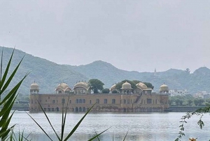 5Night 6Day Private Golden Triangle Tour With Jhalana Safari