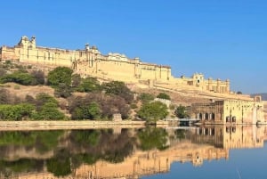 5Night 6Day Private Golden Triangle Tour With Jhalana Safari