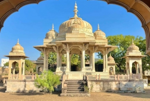 5Night 6Day Private Golden Triangle Tour With Jhalana Safari