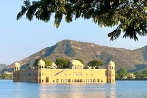 5Night 6Day Private Golden Triangle Tour With Jhalana Safari