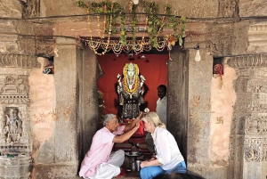 7-daagse privétour door de Gouden Driehoek met Holi-festival 2026