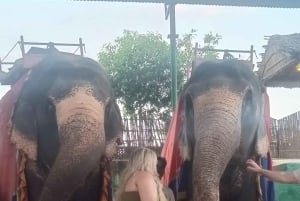 3-dniowa luksusowa wycieczka po Złotym Trójkącie: Agra i Jaipur z Delhi