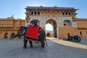 Au départ de Delhi : circuit de 4 jours « Triangle d'or et safari tigre à Ranthambore ».