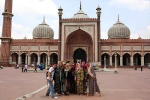 Au départ de Delhi : circuit de 4 jours « Triangle d'or et safari tigre à Ranthambore ».