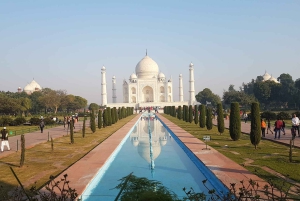 4 dagers luksusutflukt i Det gylne triangel i India fra Delhi