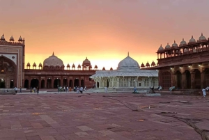 4 dagers luksusutflukt i Det gylne triangel i India fra Delhi