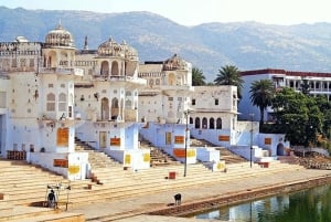 4 giorni in Rajasthan: il fascino di Jaipur e Jodhpur