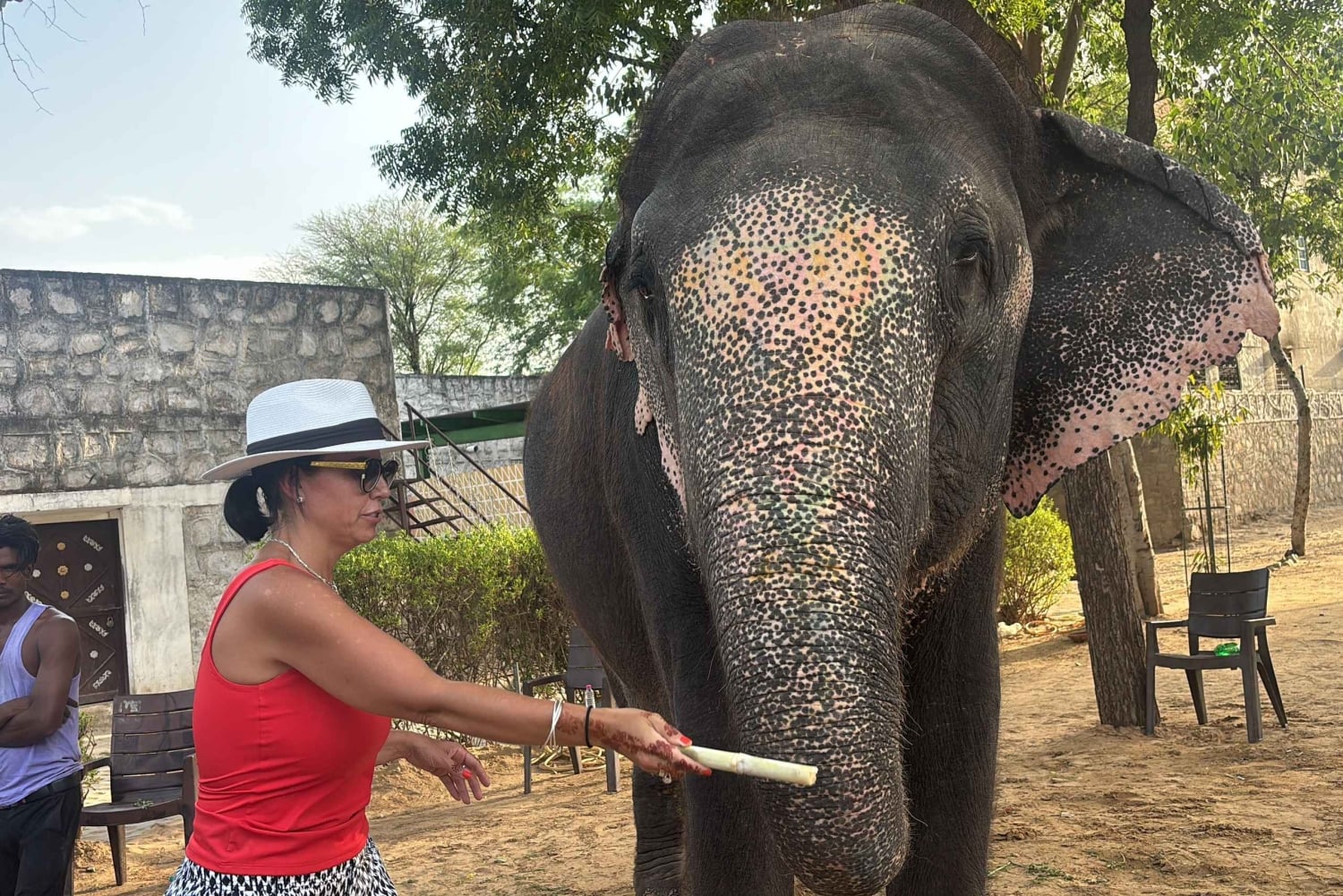 Tour privado de 4 días por el Triángulo Dorado: Delhi, Agra y Jaipur