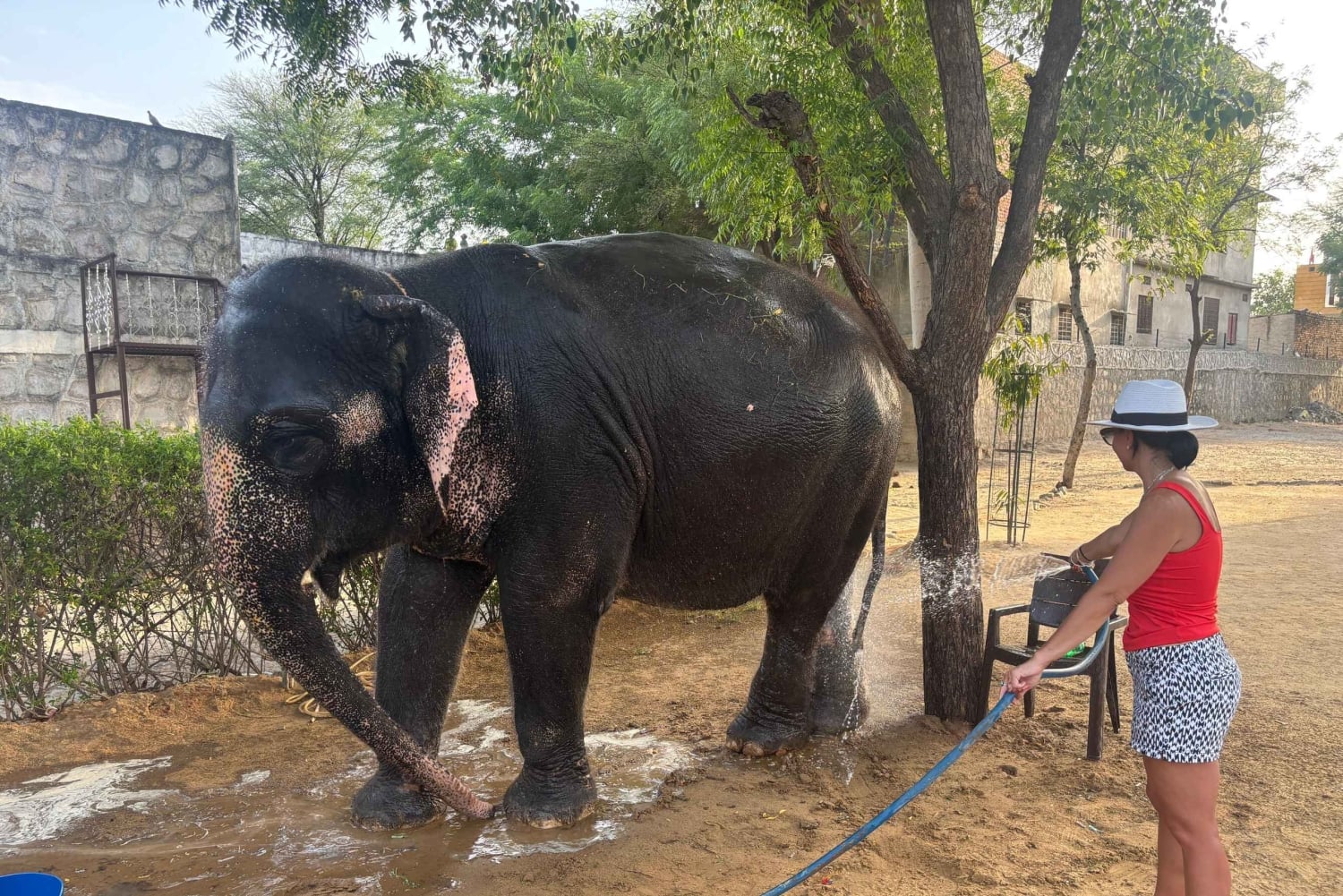 Tour privado de 4 días por el Triángulo Dorado: Delhi, Agra y Jaipur