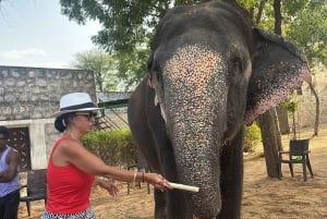 Tour privado de 4 días por el Triángulo Dorado: Delhi, Agra y Jaipur