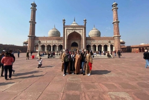 4-dagers privat luksus tur i det gylne triangel fra Delhi