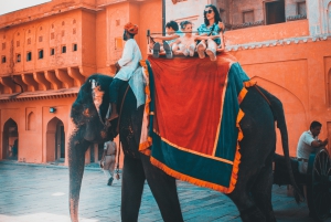 Unforgettable tour of Taj Mahal with car and guide