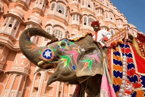 4Day Luxury Golden Triangle Tour & Ranthambore Tiger Safari