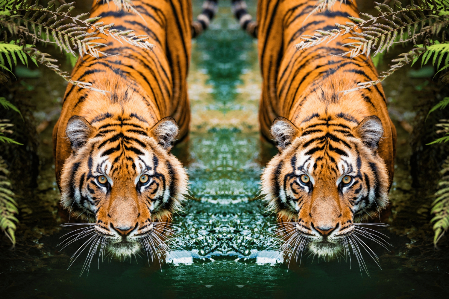 5-Daagse Gouden Driehoek Tour met Ranthambore Tijgersafari