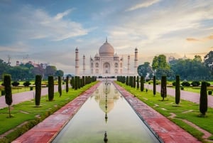 5-Day Private Golden Triangle & Tiger Safari Tour from Delhi