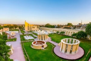 5-Day Private Golden Triangle & Tiger Safari Tour from Delhi