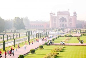 5-Day Private Golden Triangle & Tiger Safari Tour from Delhi