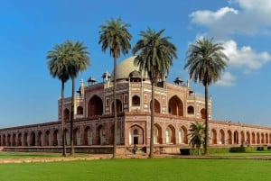 5-Day Private Golden Triangle & Tiger Safari Tour from Delhi