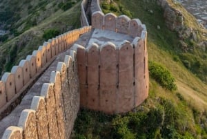 5 Tage Delhi Agra Jaipur Privatreise mit Leoparden-Safari