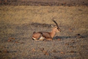 5 Nights 6 Days Golden Triangle India Tour with Ranthambore