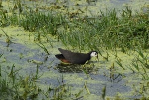 5 Nights 6 Days Golden Triangle India Tour with Ranthambore