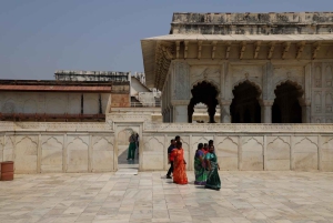 5Night 6Day Private Golden Triangle Tour With Jhalana Safari