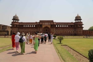 5Night 6Day Private Golden Triangle Tour With Jhalana Safari