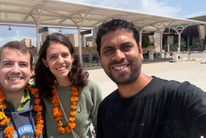 5Night 6Day Private Golden Triangle Tour With Jhalana Safari