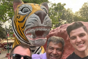 Fra Delhi: 6-dagers Gulltrekant-tur med Ranthambore