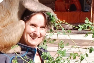 Fra Delhi: 6-dagers Gulltrekant-tur med Ranthambore