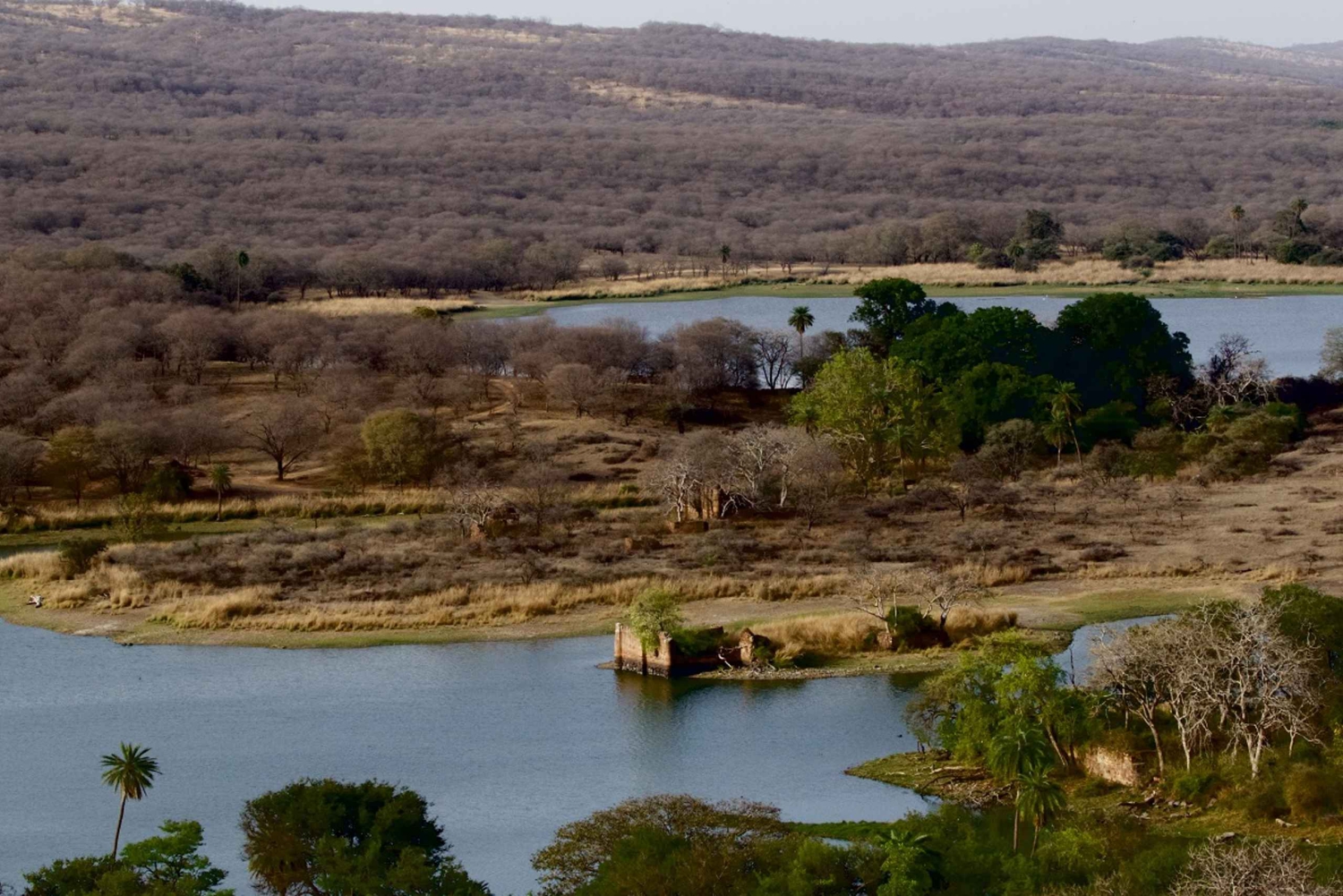 7 jours en Inde Taj Mahal avec safari tigre à Ranthambore