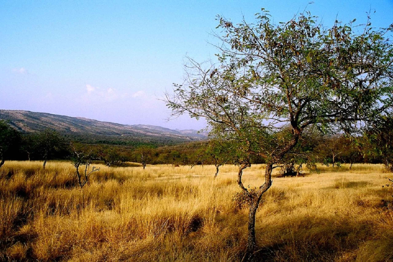 7 jours en Inde Taj Mahal avec safari tigre à Ranthambore