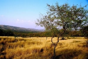7-daagse india Taj Mahal rondreis met ranthambore tijgersafari