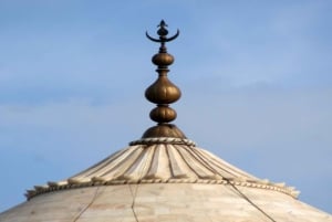 7-daagse india Taj Mahal rondreis met ranthambore tijgersafari