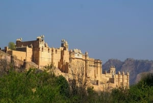 7-daagse india Taj Mahal rondreis met ranthambore tijgersafari