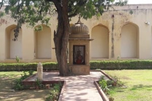 7-daagse india Taj Mahal rondreis met ranthambore tijgersafari