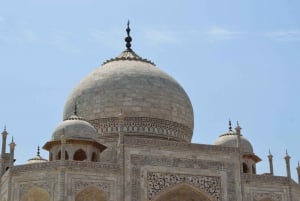 7-daagse india Taj Mahal rondreis met ranthambore tijgersafari
