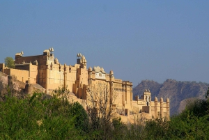 7 jours en Inde Taj Mahal avec safari tigre à Ranthambore