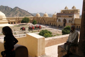7 jours en Inde Taj Mahal avec safari tigre à Ranthambore