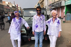 7-daagse privétour door de Gouden Driehoek met Holi-festival 2026